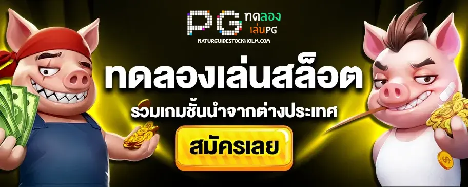 สล็อตทดลองเล่นpgล่าสุด